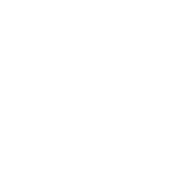 SKS Xing