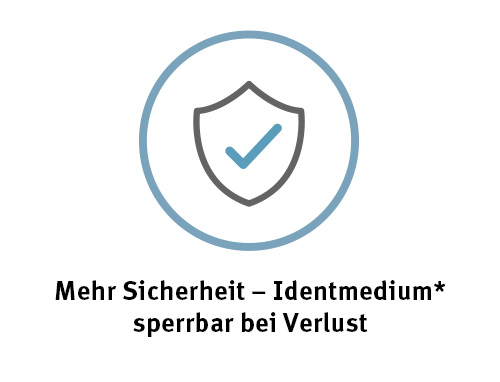 Icon Sicherheitsstandard